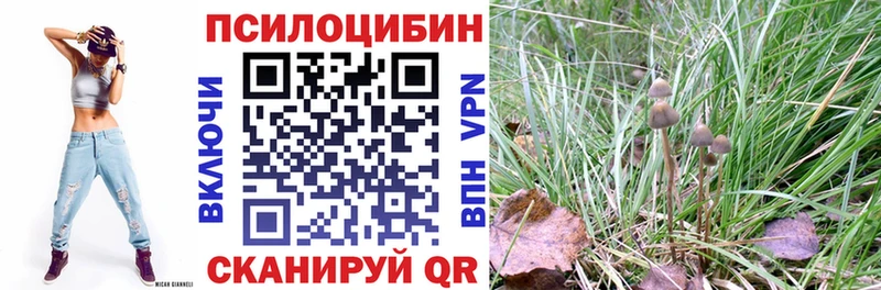 Псилоцибиновые грибы Psilocybe  Благодарный 