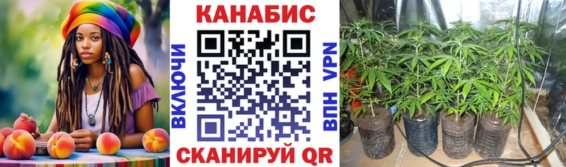 Бошки марихуана AK-47  Благодарный 